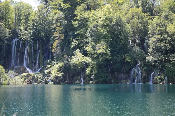 Plitvicei Tavak Vízesések Nemzeti Park Horvátország — Stock Fotó