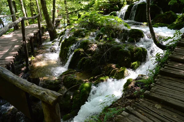 Forest River Bij Plitvicemeren Nationaal Park Kroatië — Stockfoto