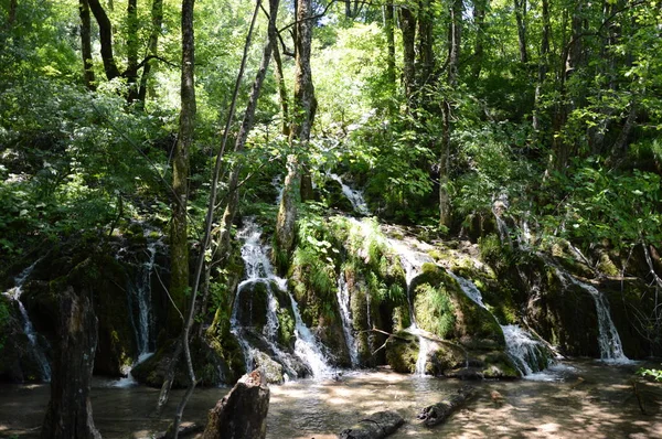 Río Bosque Cerca Los Lagos Plitvice Parque Nacional Croacia — Foto de Stock