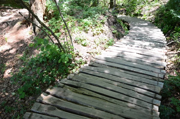 Parque Nacional Los Lagos Plitvice Croacia — Foto de Stock