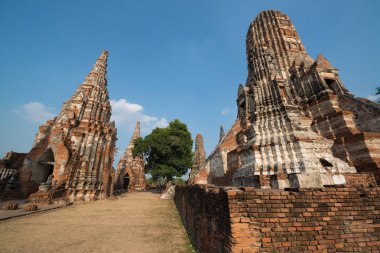 Wat Maha Güzel antik site bir dünya mirası olarak Ayutthaya, Tayland
