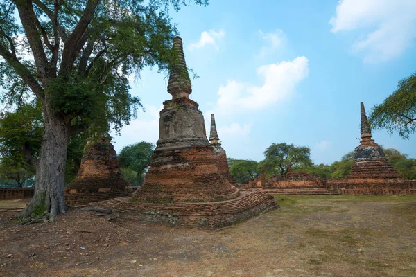Wat Phrasisanpetch Phra Sanphet 的古塔 大城府历史文化名城泰国 — 图库照片