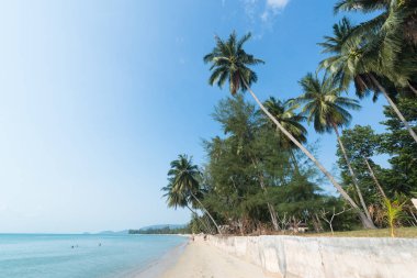 Koh Samui Tayland Lipanoi plaj görünümü