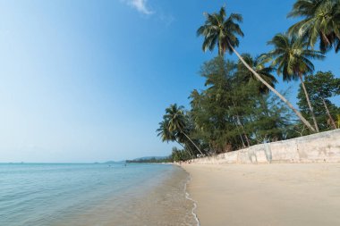 Koh Samui Tayland Lipanoi plaj görünümü