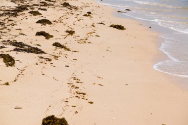Koh Samui Tayland Lipanoi plaj görünümü