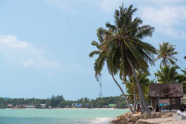 Koh Samui Tayland Lipanoi plaj görünümü