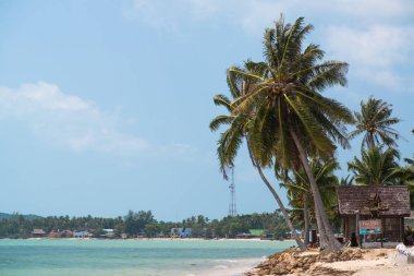 Koh Samui Tayland Lipanoi plaj görünümü