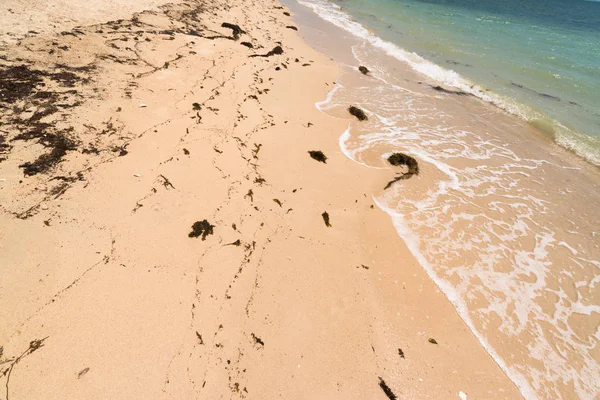 Koh Samui Tayland Lipanoi plaj görünümü