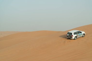 Dubai - 17 Haziran 2014 - Dune Dubai yakınlarındaki Arap çölünde dayak, Birleşik Arap Emirlikleri