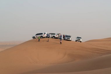 Dubai - 17 Haziran 2014 - Dune Dubai yakınlarındaki Arap çölünde dayak, Birleşik Arap Emirlikleri