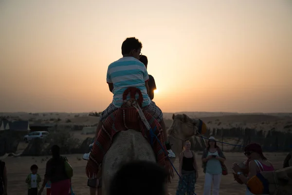 砂漠の夕日 ドバイ アラブの砂漠の夕日 — ストック写真