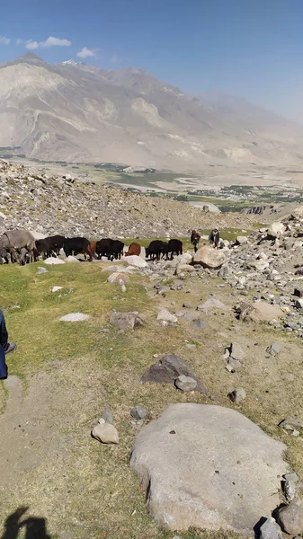 Wakhan Nehri Nin Arkasındaki Afganistan Daki Wakhan Koridoru Bakın Tacikistan — Stok fotoğraf