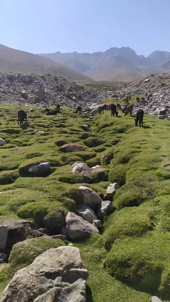 Pohled Wakhan Koridor Afghánistánu Řekou Wakhan Dálnice Pamir Straně Tádžikistánu — Stock fotografie