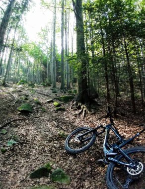 Yeşil ağaçlarla orman arka planında bisiklet