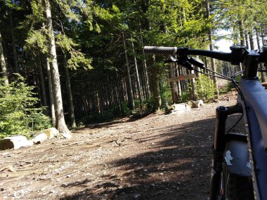 Yeşil ağaçlarla orman arka planında bisiklet