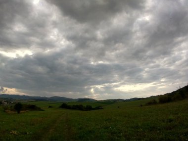 Yeşil ağaçlı ve fırtınalı gökyüzü