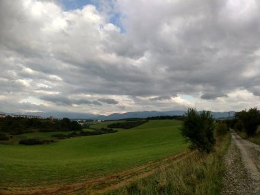 Yeşil çimenli ve gökyüzü