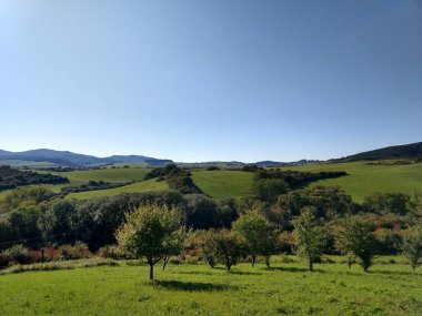 Yeşil ağaçlarla ve mavi gökyüzüyle manzara