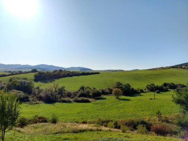Yeşil ağaçlarla ve mavi gökyüzüyle manzara