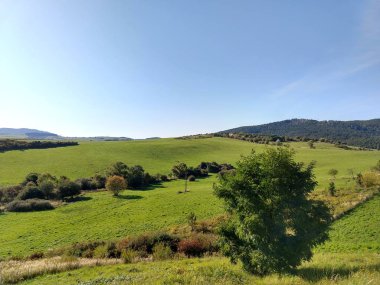 Yeşil ağaçlarla ve mavi gökyüzüyle manzara