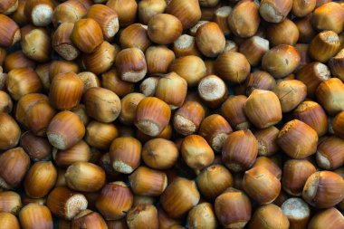 Düz bir yüzeyde duran fındıklar