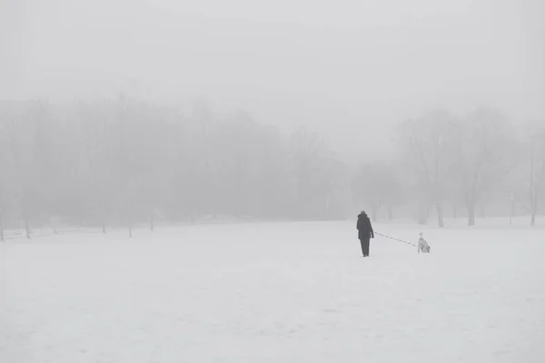 Frau Geht Bei Starkem Nebel Park Spazieren — Stockfoto