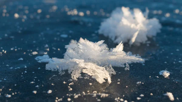 Blütenförmige Eiskristalle Sonnenschein Auf Dunklem Eis Skandinavischen Winter — Stockfoto