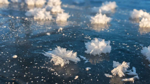 Ijskristallen Vorm Van Bloemen Zon Donker Ijs Scandinavische Winter — Stockfoto