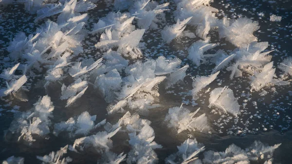 Blütenförmige Eiskristalle Sonnenschein Auf Dunklem Eis Skandinavischen Winter — Stockfoto