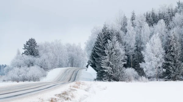 Estrada Inverno Com Árvores Cobertas Gelado — Fotografia de Stock