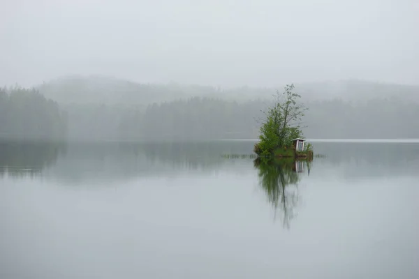 霧の日に湖に小さな木と分の緑の島に小さな小屋 — ストック写真