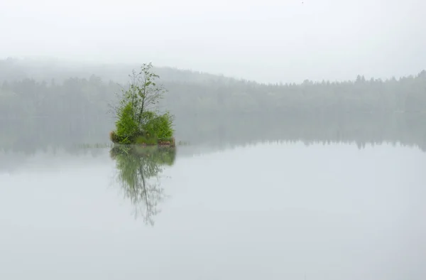 Маленький Остров Озере Туманный День — стоковое фото