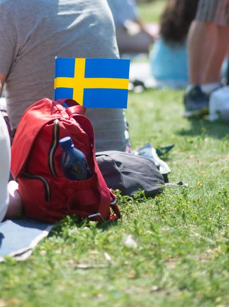 Svensk Gul Och Blå Flagga Och Ryggsäck Person Picnic Park — Stockfoto