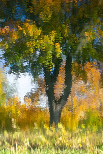 Árbol Arce Colores Otoño Reflejados Agua Día Soleado Otoño — Foto de Stock