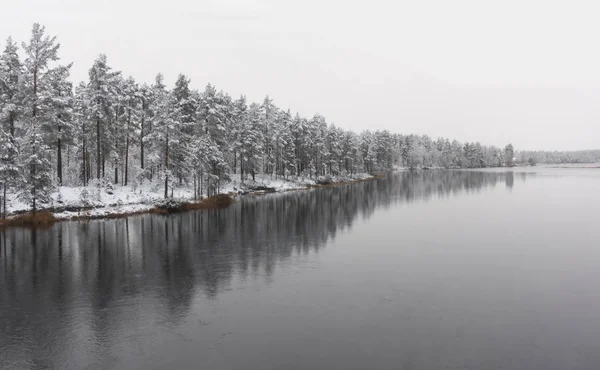阴云密布的日子里 湖中或大河中反射的雪中的针叶树 — 图库照片