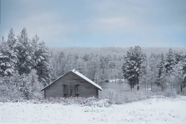 白雪覆盖着冬季的风景 湖边的旧木棚和苍翠的森林 蓝蓝的天空 — 图库照片