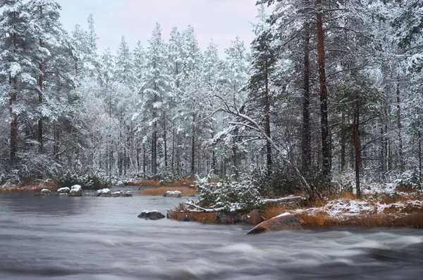 Bosque Invierno Con Río Larga Exposición Primer Plano Cielo Rosa —  Fotos de Stock