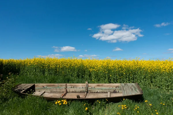 緑の芝生の夏の風景の中に古い壊れた木製のボート 背景に油種の菜の花の植物のフィールドとふわふわの雲と青空 — ストック写真