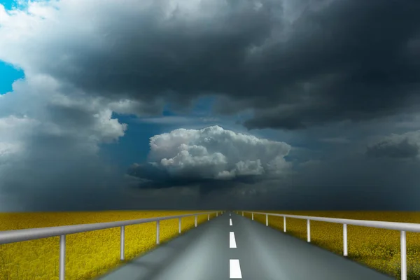 Strada Asfaltata Rurale Paesaggio Con Campi Piante Colza Cielo Drammatico — Foto Stock