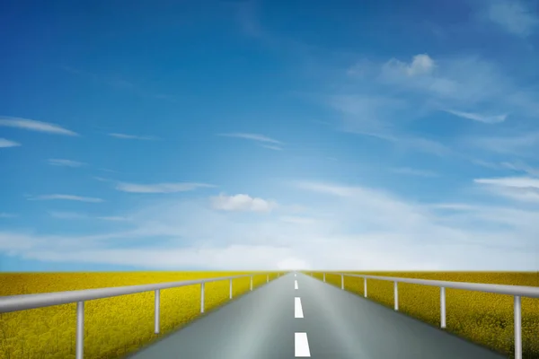 Route Asphaltée Rurale Dans Paysage Avec Des Champs Plantes Colza — Photo