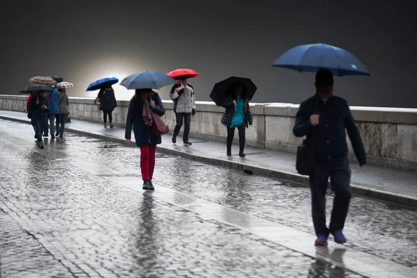 People Umbrellas Street Gloomy Rainy Day — Stock Photo, Image