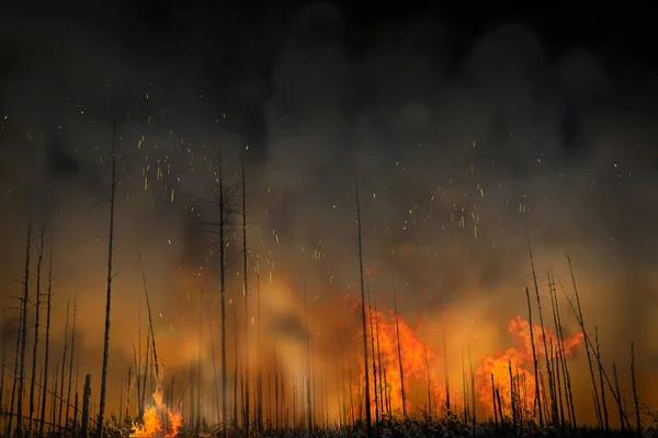 森林大火 有黑树 有火焰 有黑烟 有火花在炎热的空气中飞舞 — 图库照片