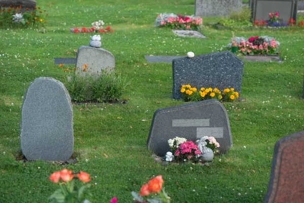 Hintergrund Mit Weizen Oder Roggenfeld Mit Leichtem Effekt — Stockfoto