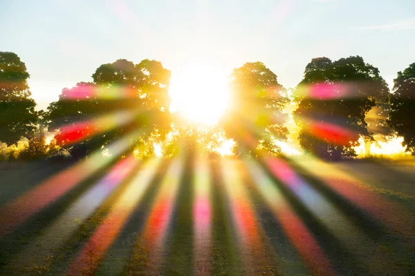 Sluneční Paprsky Filtrovány Listím Stromů Vytvářející Efekt Prisma Ocr Duhy — Stock fotografie