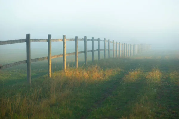 日当たりの良い霧の日の牧草地の木製フェンス — ストック写真