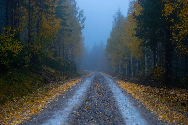 Узкая Грунтовая Дорога Желтыми Листьями Лесу Туманный Вечер — стоковое фото