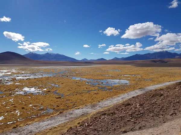 San Pedro Atacama Çölü, Güney Amerika'da, And Dağları'nın batısında, Pasifik kıyısında ki 1.000 kilometrelik bir kara şeridini kaplayan bir platodur. Şili.