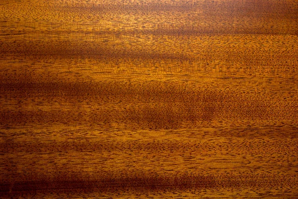 Photo Texture Mahogany Wood Background — Stock Photo, Image