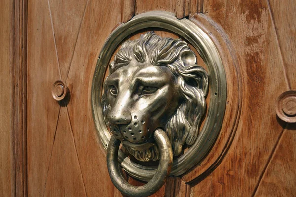 Door knocker, handle - lion head on a door in Lviv