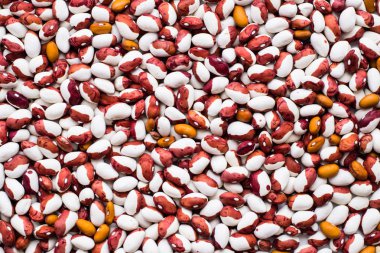 Renkli renkli barbunya fasulyesi portre fotoğrafı